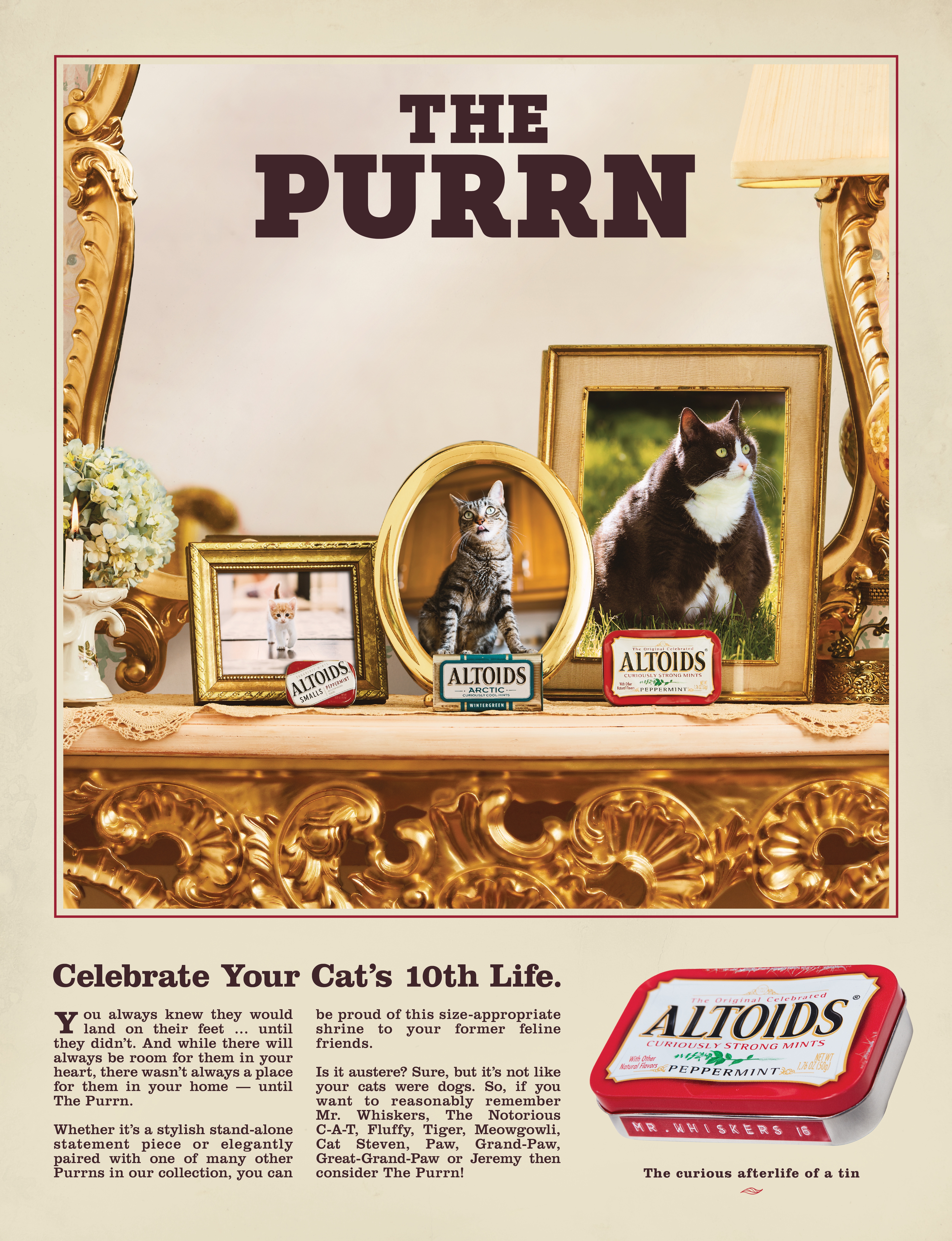 Altoids — Cats