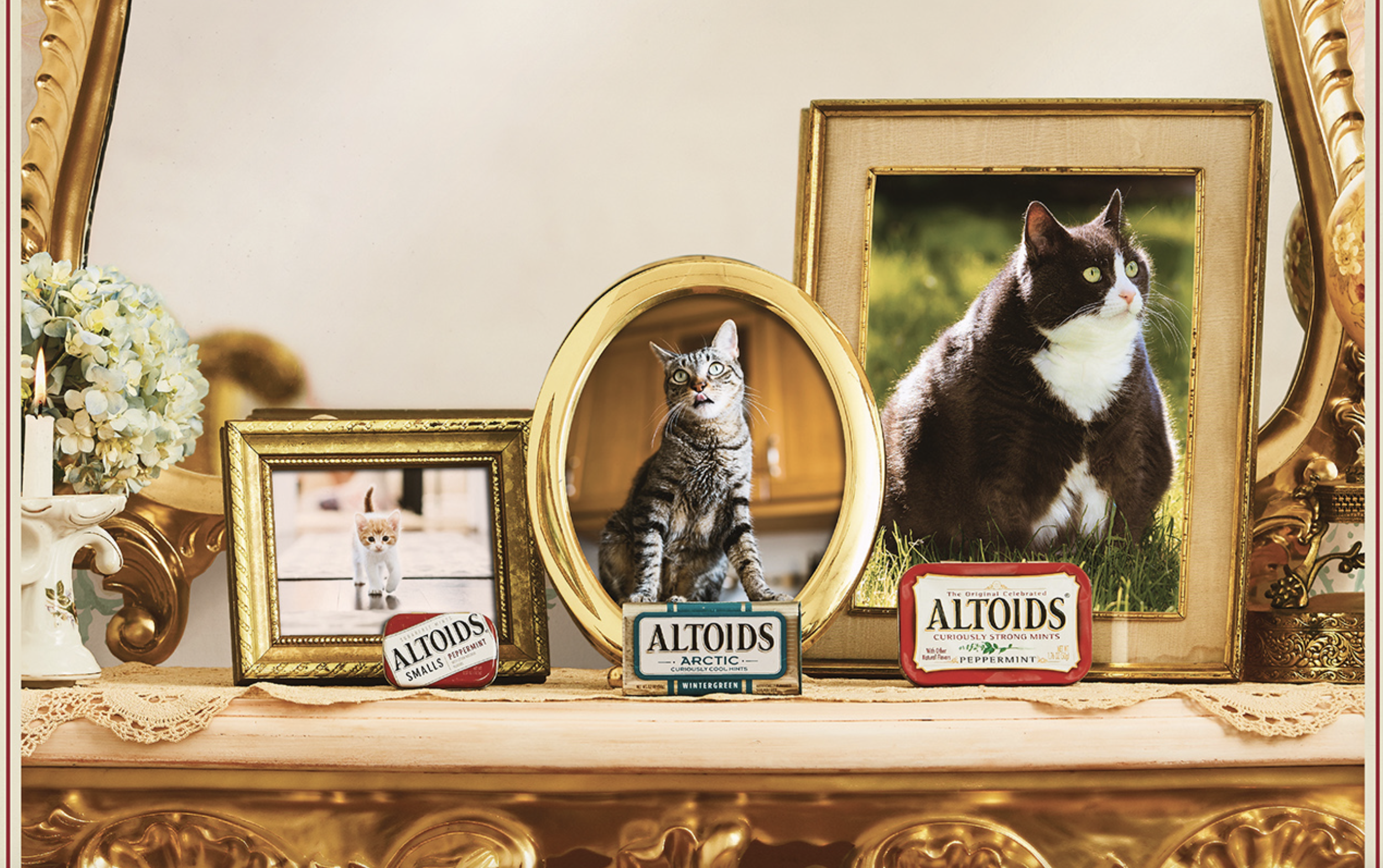 Altoids: The Curious Afterlife of a Tin