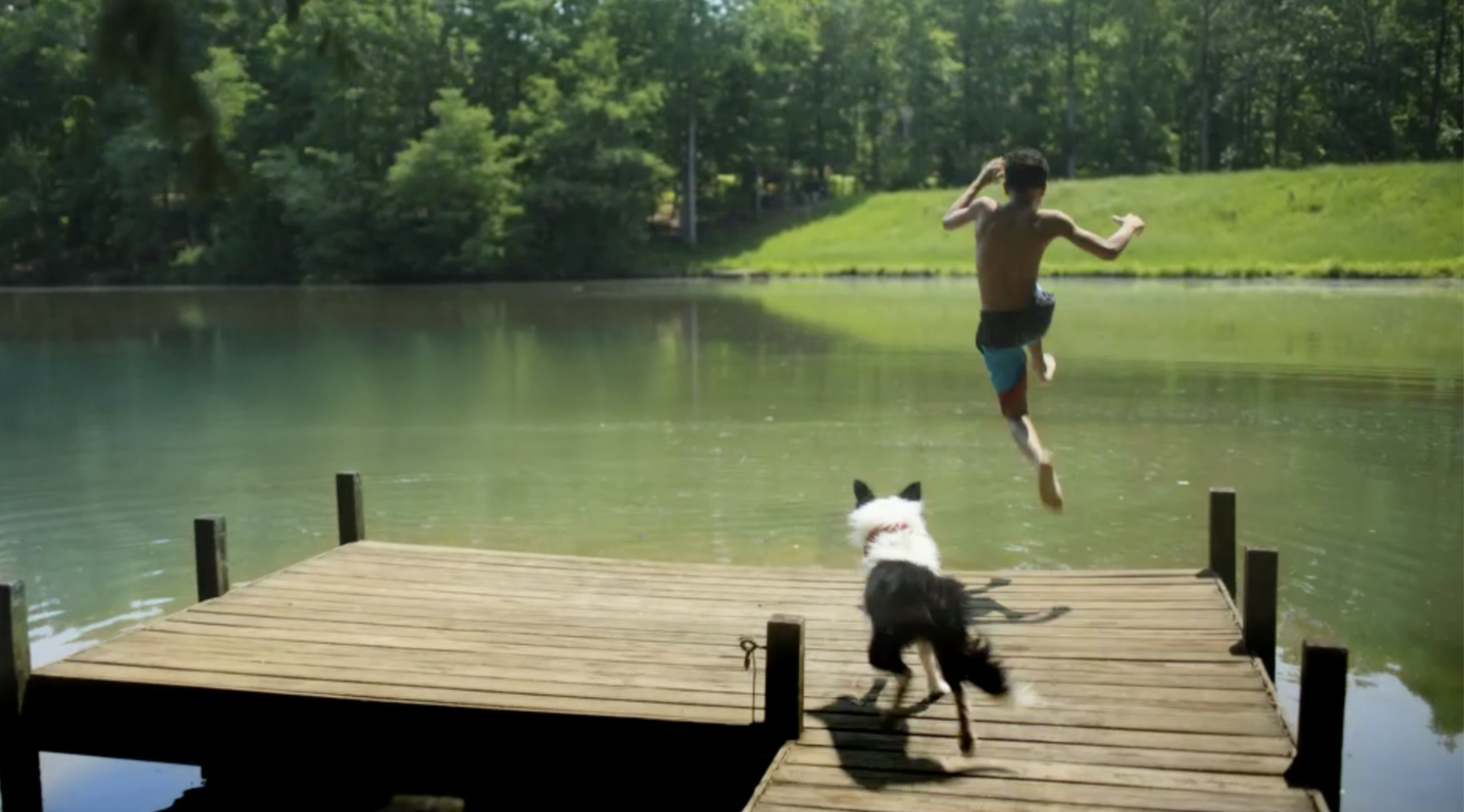 Purina 'Ful' Film
